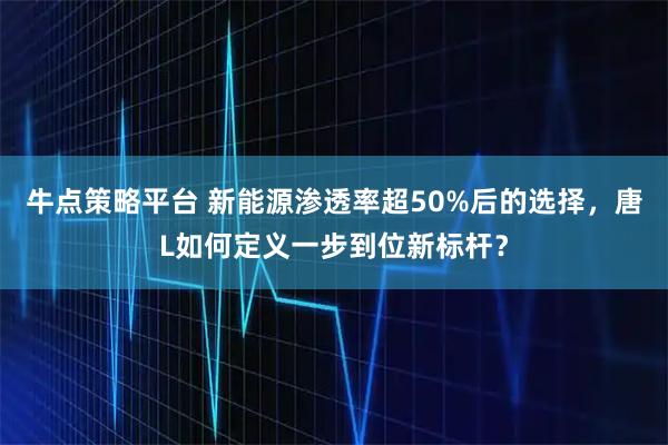 牛点策略平台 新能源渗透率超50%后的选择，唐L如何定义一步到位新标杆？